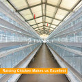 Kenya Chicken Farm Hot Sale A Type Layer Poultry Battery Cages